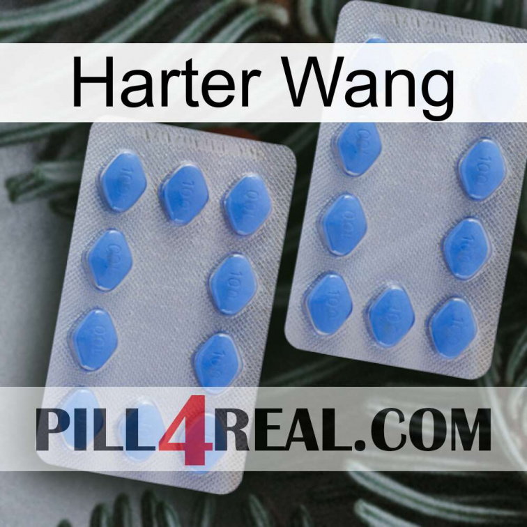Hard Wang 20